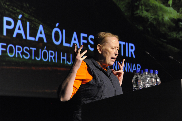 Ársfundur SA - Mynd 1