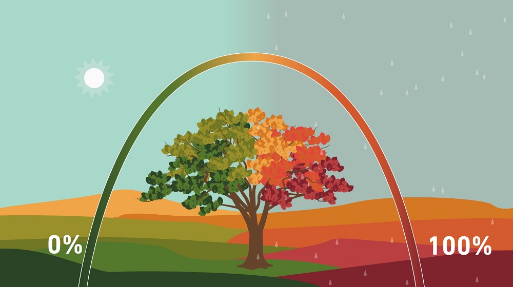 Smelltu til að stækka!