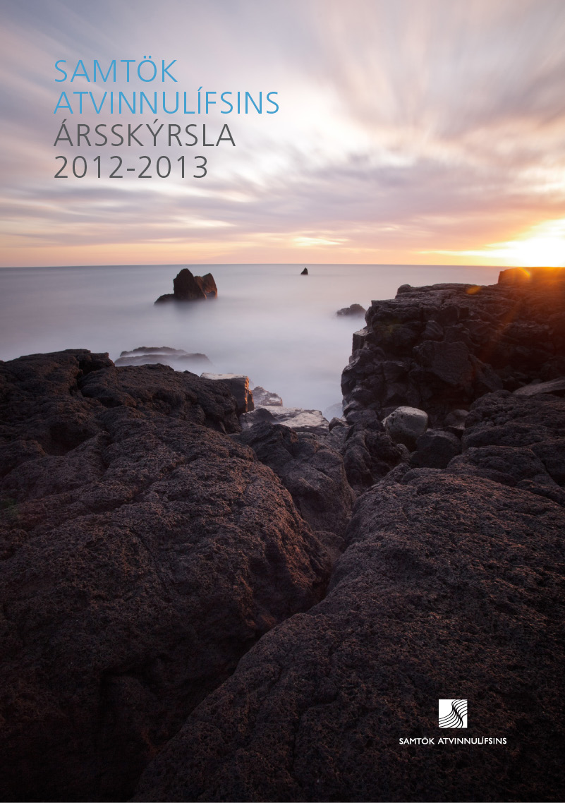 Mynd af ársskýrslu